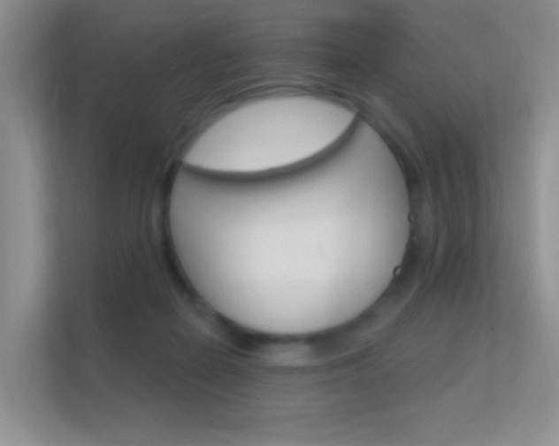 X0000112420266200908141051