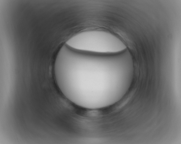 X0000112420269200908141051