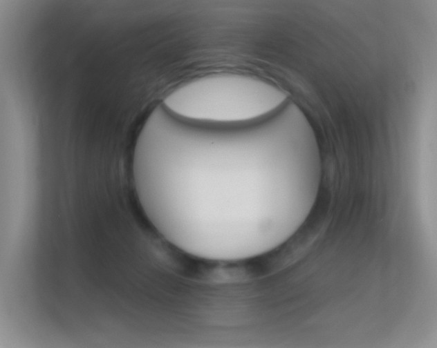 X0000112420270200908141051