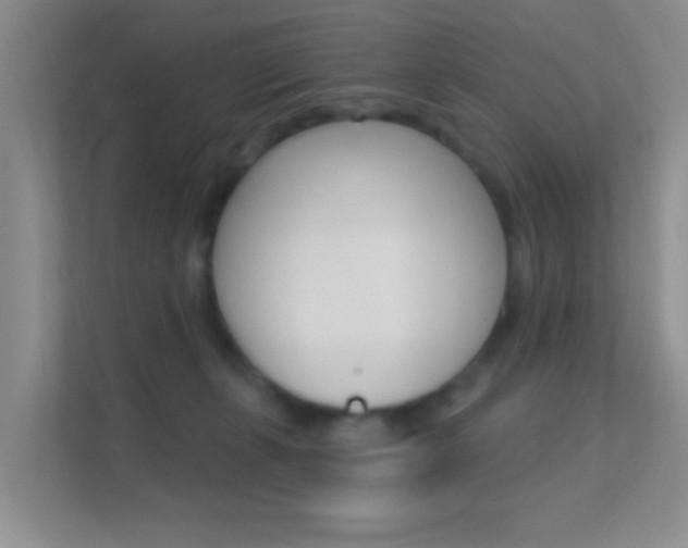 X0000112420271200908141051