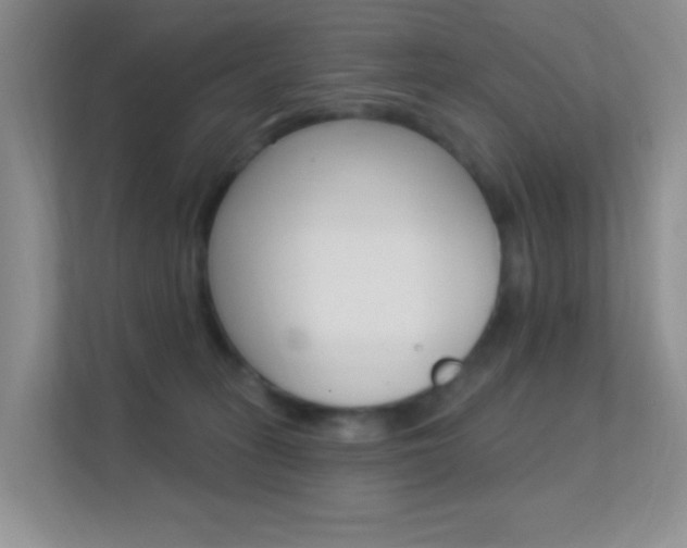 X0000112420275200908141051