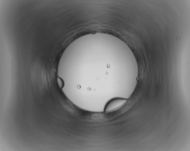 X0000112420279200908141051