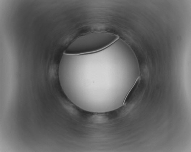 X0000112420280200908141051