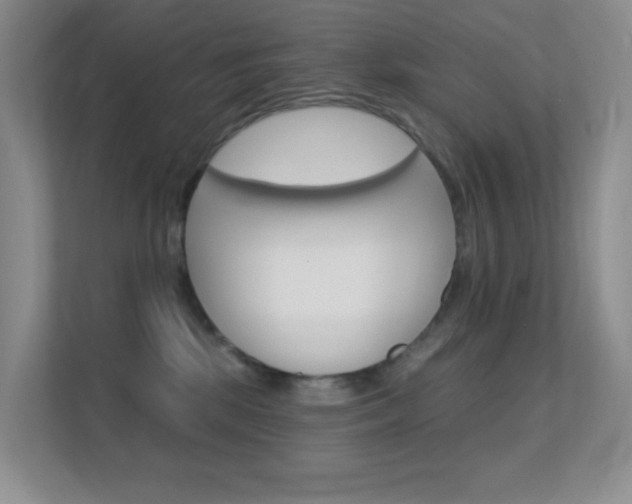 X0000112420281200908141051