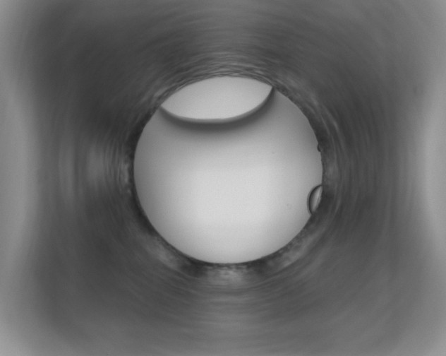 X0000112420282200908141051