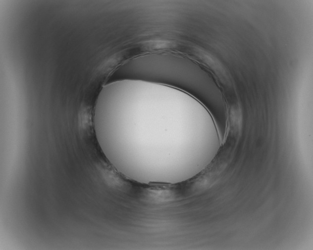 X0000112420284200908141052