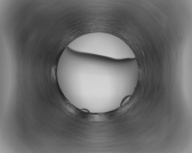 X0000112420286200908141052