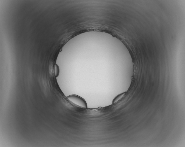 X0000112420287200908141052