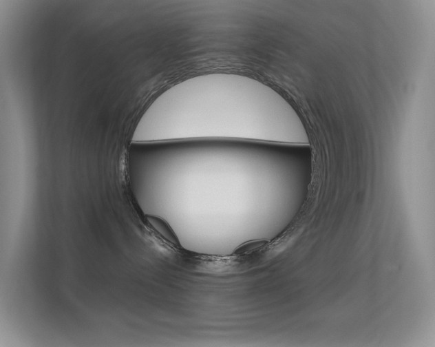 X0000112420288200908141052
