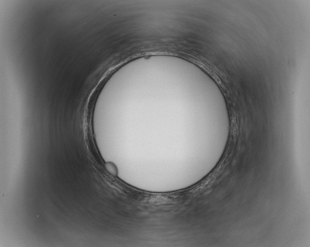 X0000112420290200908141051