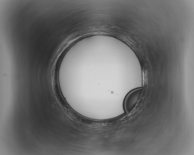 X0000112420291200908141051