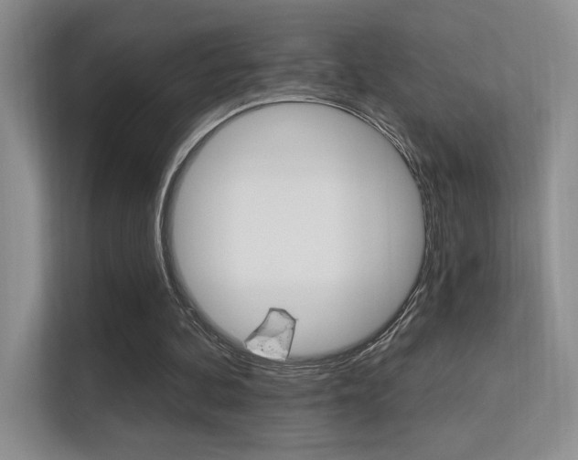 X0000112420292200908141051