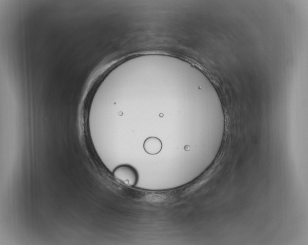 X0000112420294200908141051