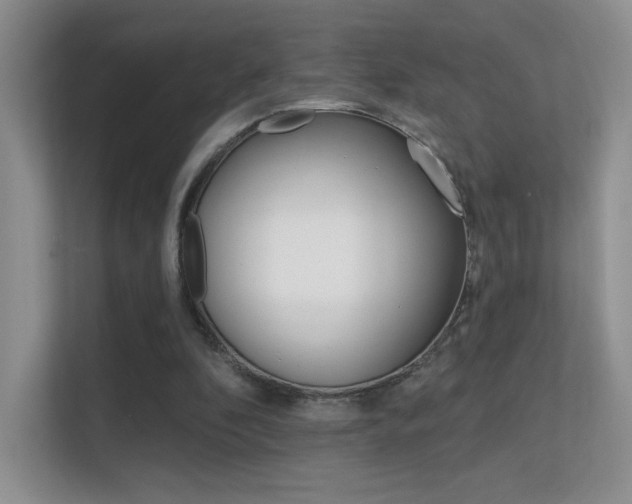 X0000112420296200908141051