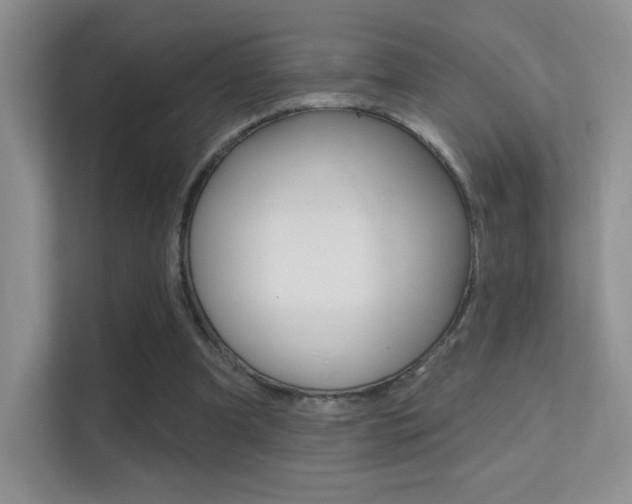 X0000112420297200908141051