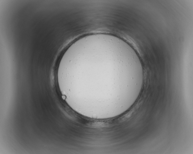 X0000112420298200908141051