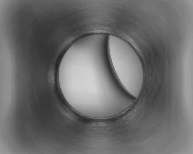 X0000112420299200908141051