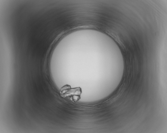 X0000112420300200908141051