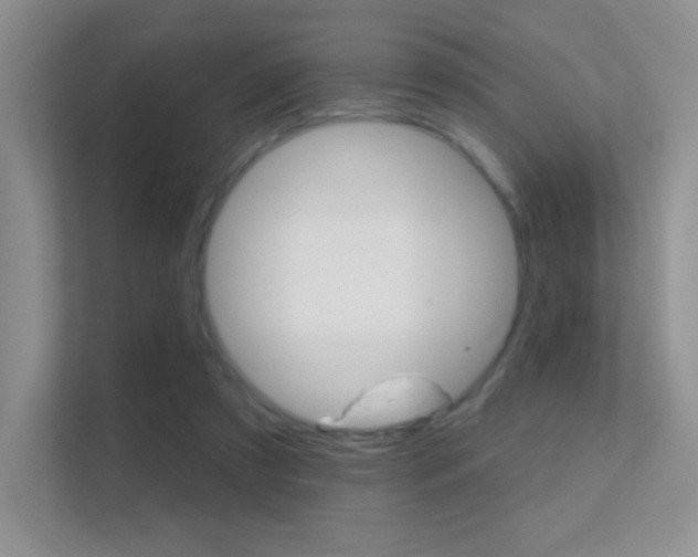 X0000112420305200908141051