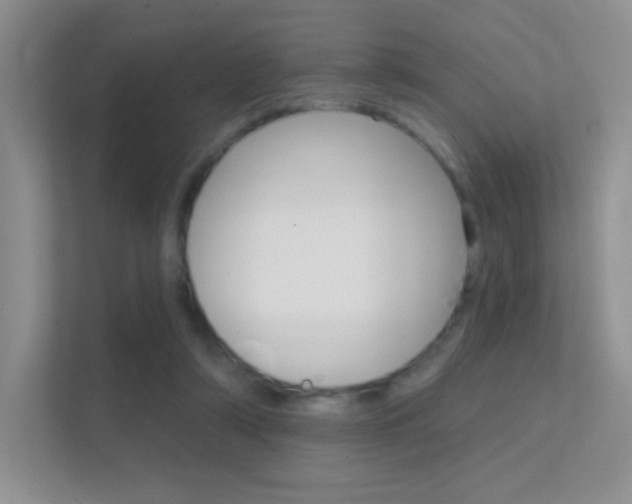X0000112420306200908141051