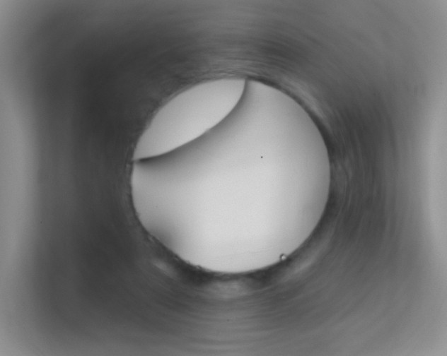 X0000112420307200908141051