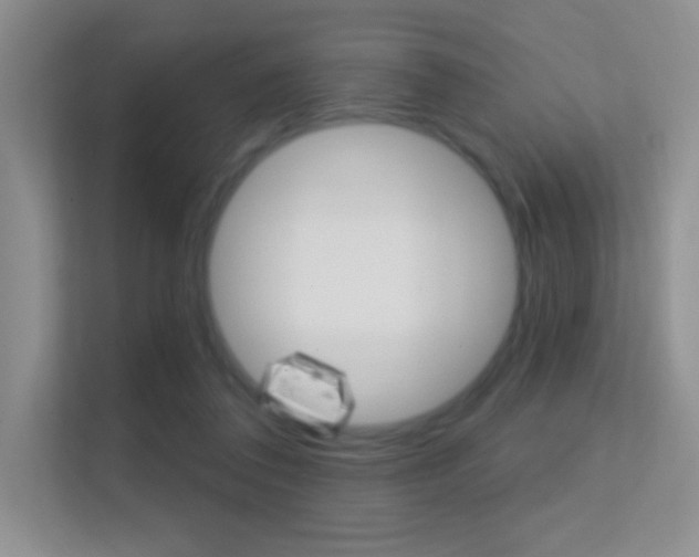 X0000112420308200908141051