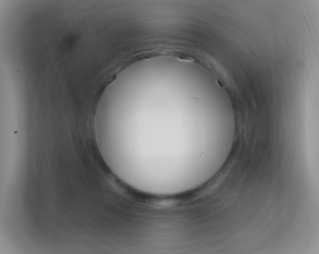 X0000112420313200908141051