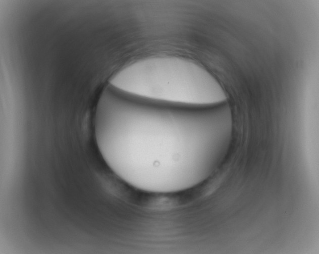 X0000112420319200908141051