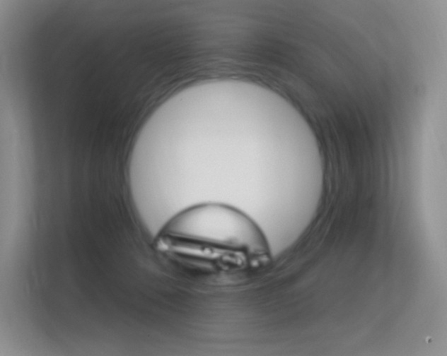 X0000112420320200908141051