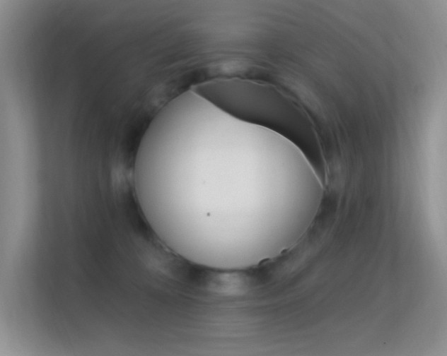 X0000112420324200908141050