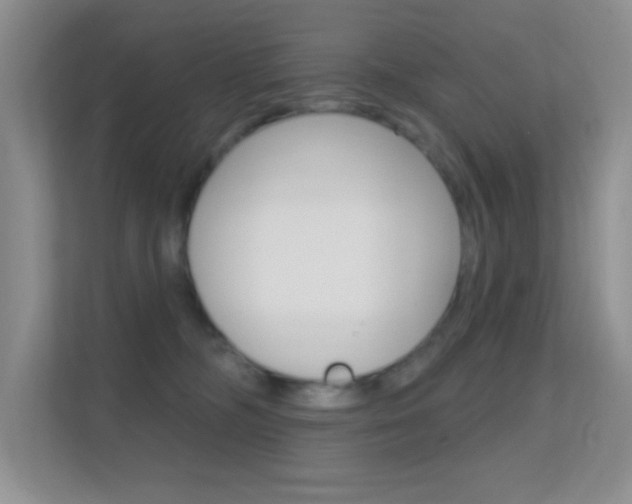 X0000112420326200908141050
