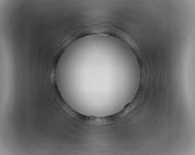 X0000112420329200908141050