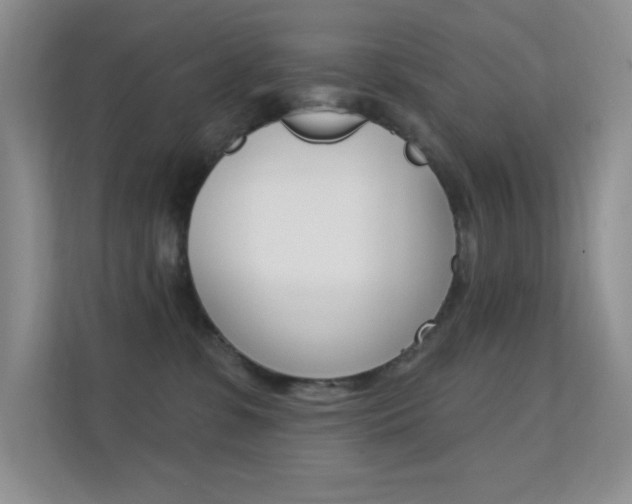 X0000112420331200908141050