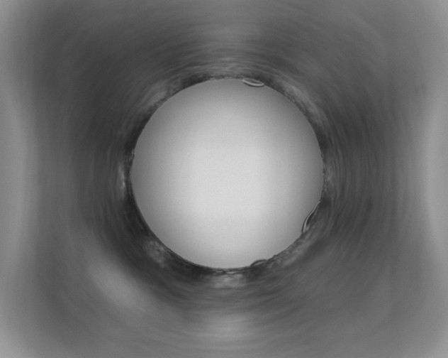 X0000112420333200908141050