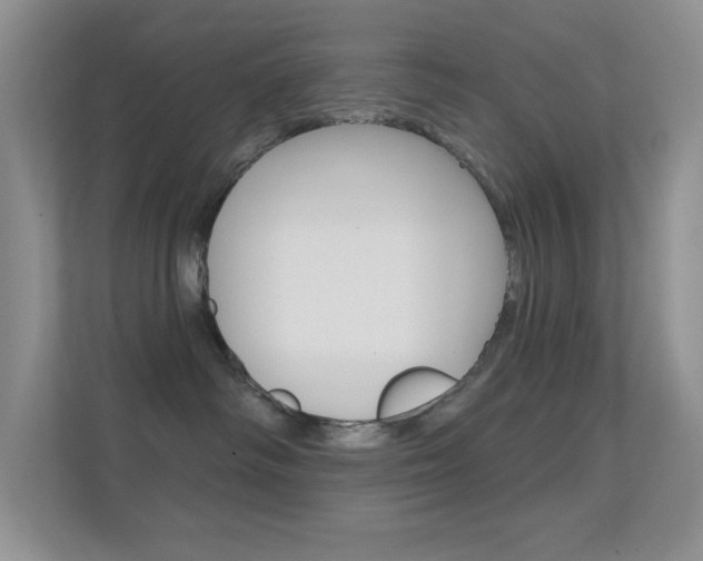 X0000112420334200908141050