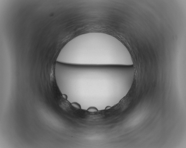 X0000112420335200908141050