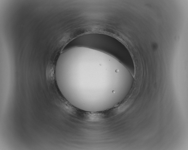 X0000112420336200908141050