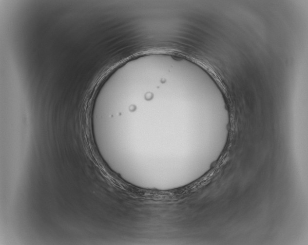 X0000112420337200908141050