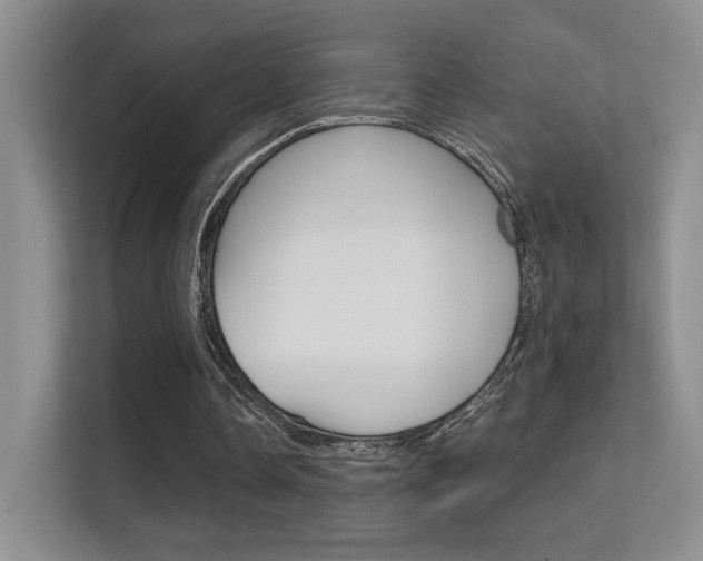 X0000112420338200908141050