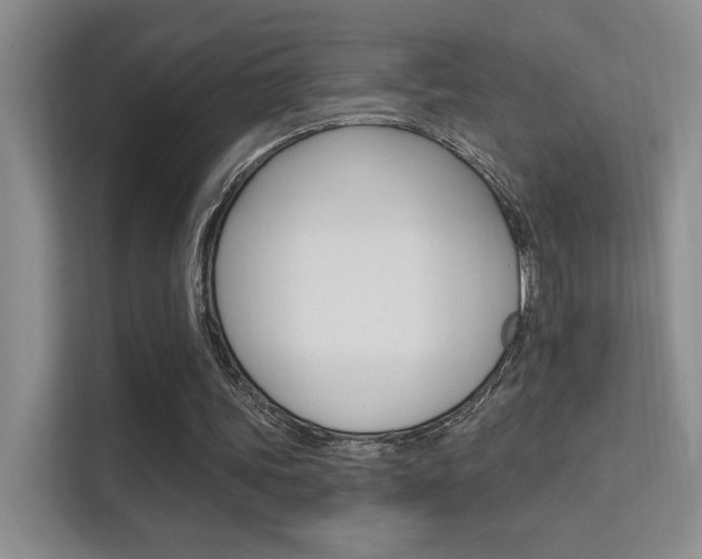 X0000112420339200908141050