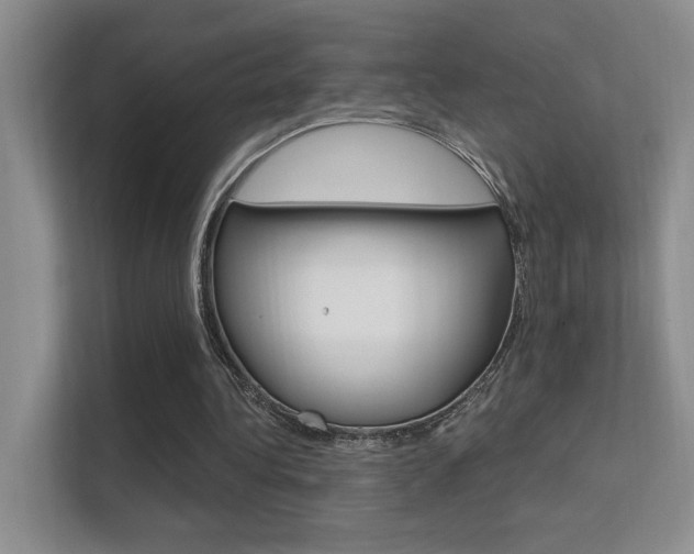 X0000112420340200908141050