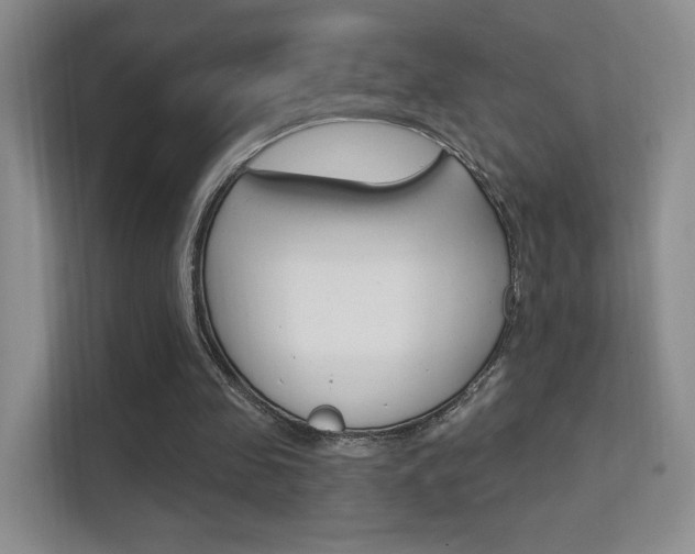 X0000112420341200908141050