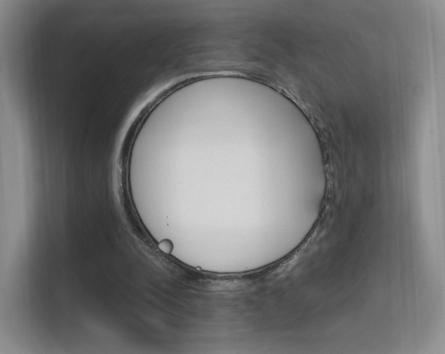 X0000112420342200908141050