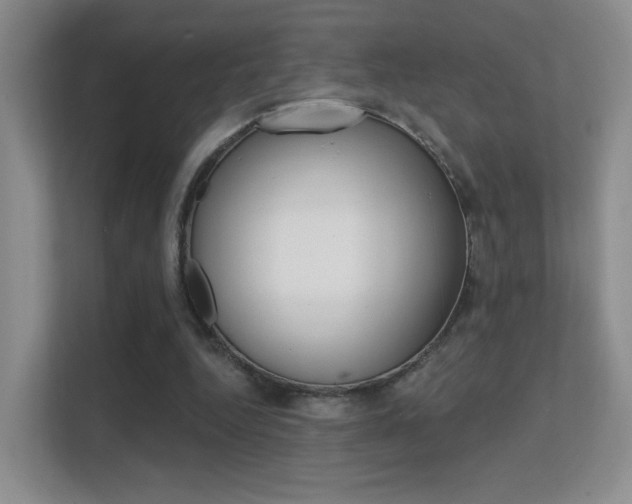 X0000112420344200908141050