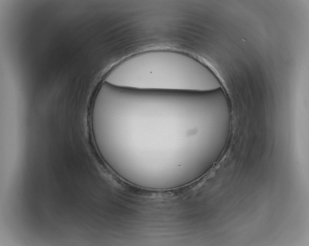 X0000112420345200908141050
