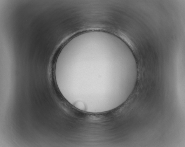 X0000112420346200908141050