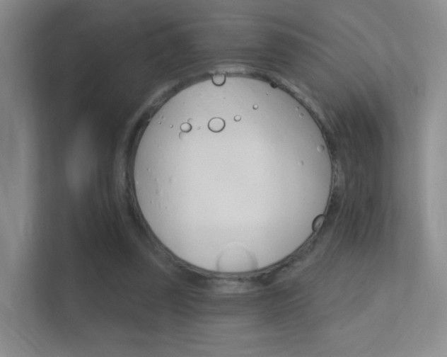 X0000112420347200908141050