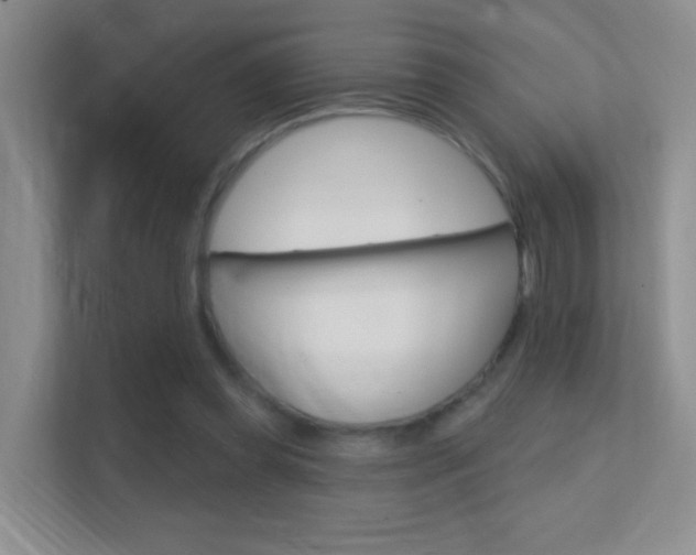 X0000112420349200908141050