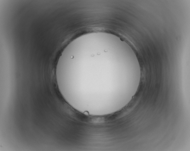 X0000112420355200908141050