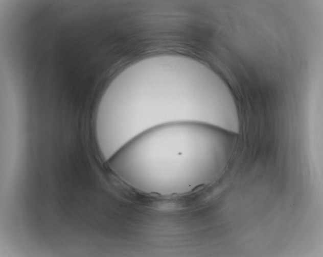 X0000112420356200908141050